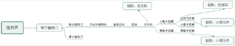 新品系列實木家具勢不可擋！