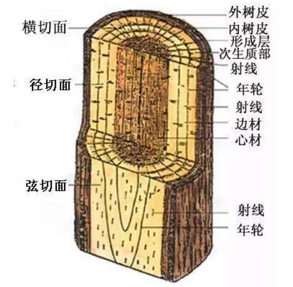 實木家具有色差正常嗎！實木家具色差有原因！