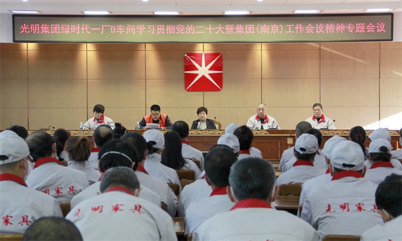 綠時(shí)代一廠D車間、電商公司、伊春公司召開學(xué)習(xí)貫徹黨的二十大暨集團(tuán)（南京）工作會(huì)議精神專題會(huì)議